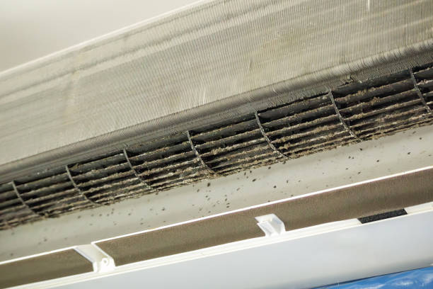 Best Affordable Duct Cleaning Services  in Trezevant, TN